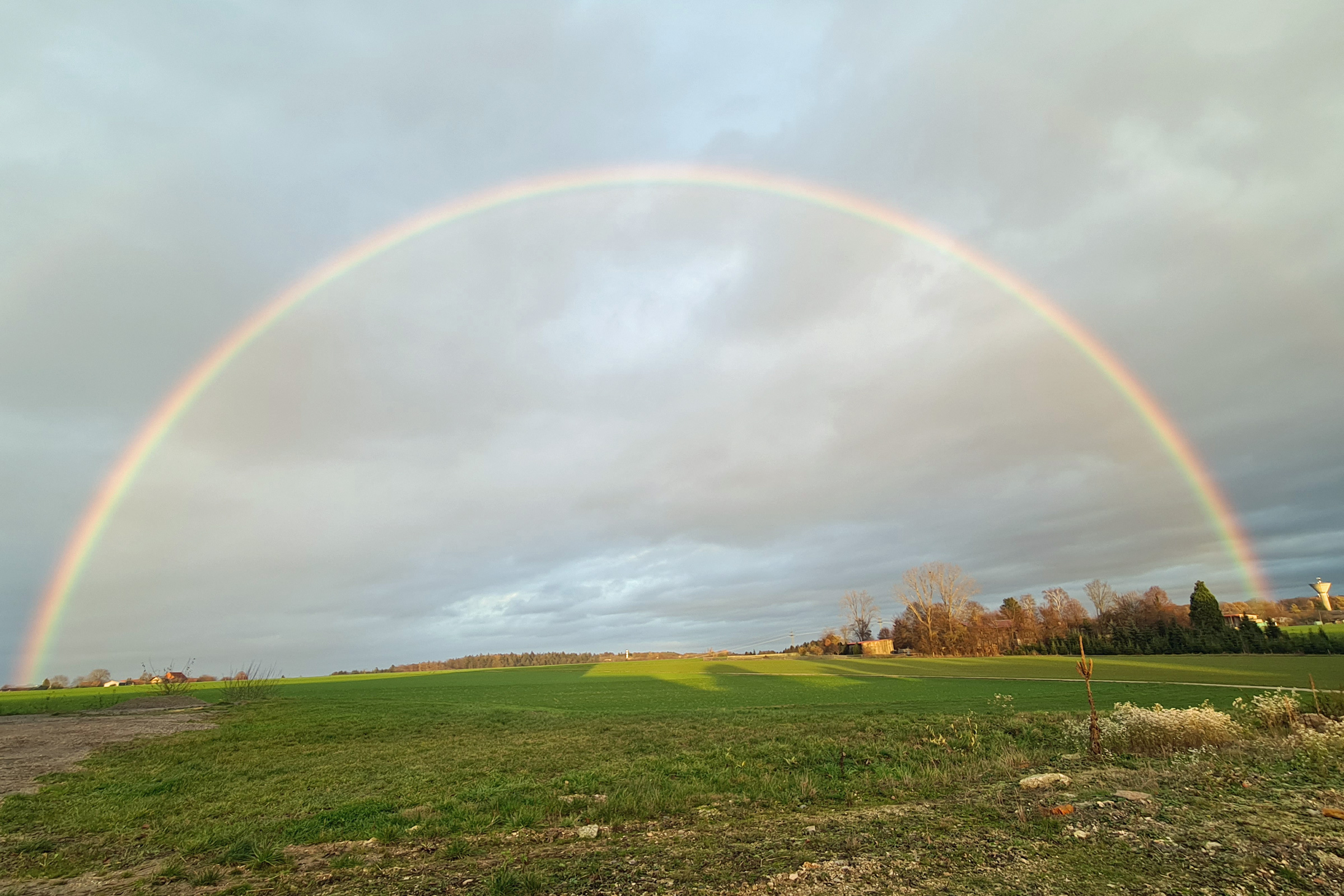 Regenbogen über dem Feld